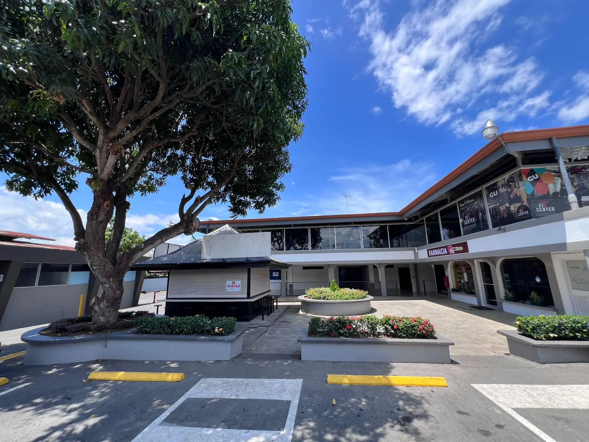 Alajuela Commercial Building: Prime Investment Opportunity - image 5