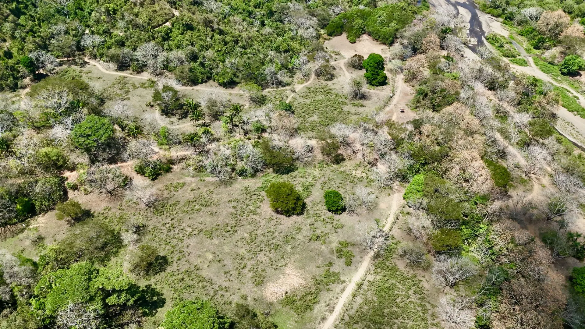 Central Pacific Oceanfront Resort Development Site | 111.9 Acres - image 15