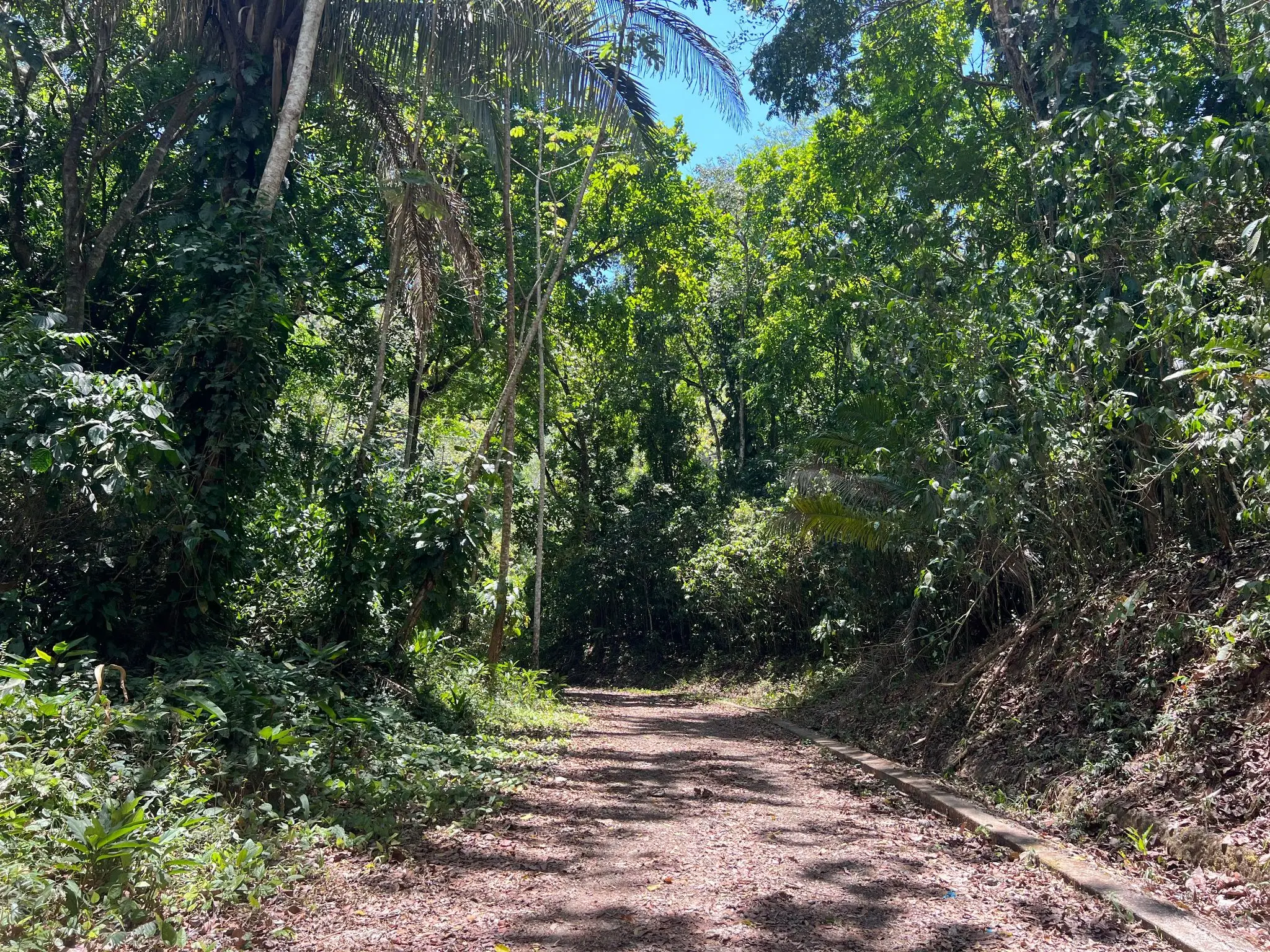 Prime 5028sqm Development Lot in Jacó, Costa Rica – Endless Possibilities Await  - image 2