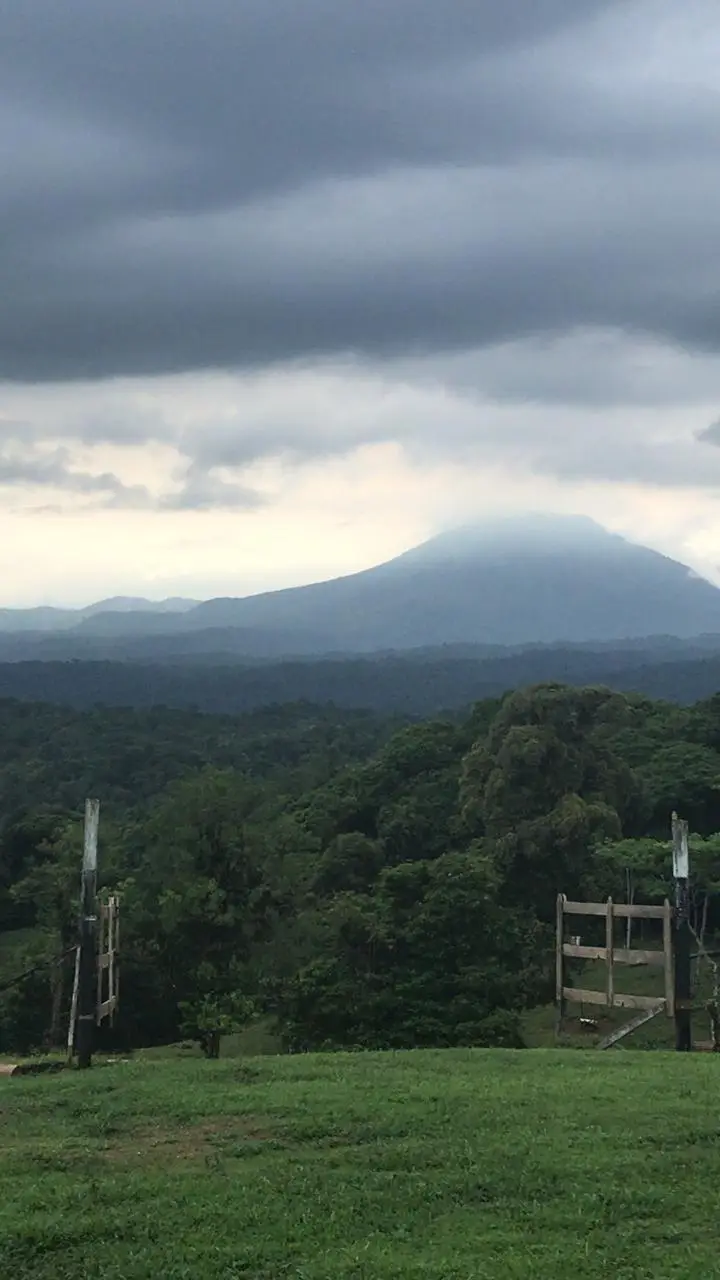 Majestic 83-Hectare Ranch & Agricultural Land in Sarapiquí, Costa Rica | Develop Your Dream - image 5