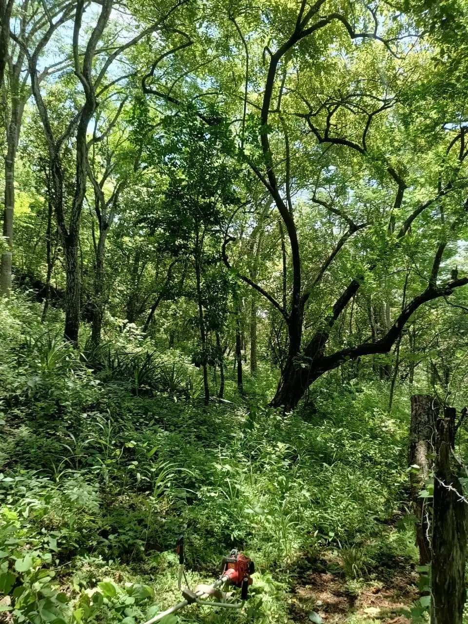 magnificent terraine  - image 7