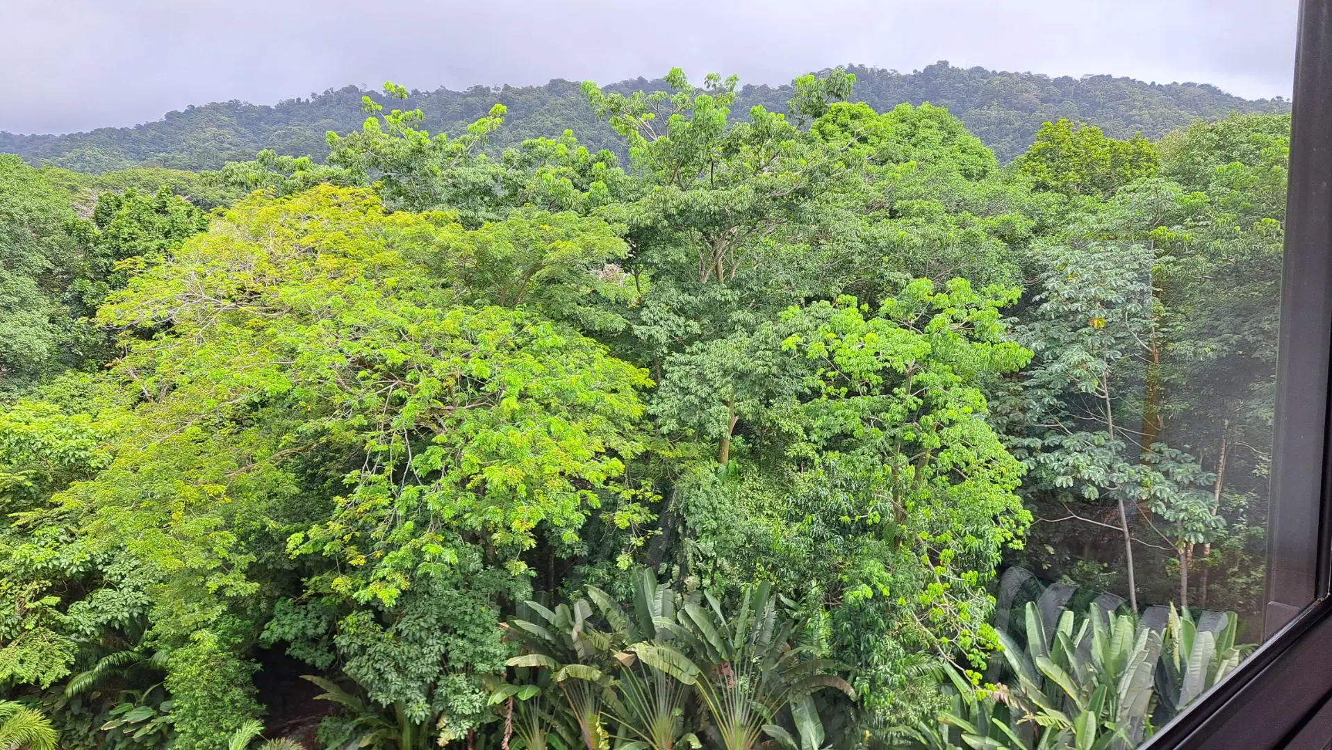 Torres del Mar 1704 - Modern 7-th floor two-Bed Condo in Jacó, Costa Rica - Great Location! - image 6