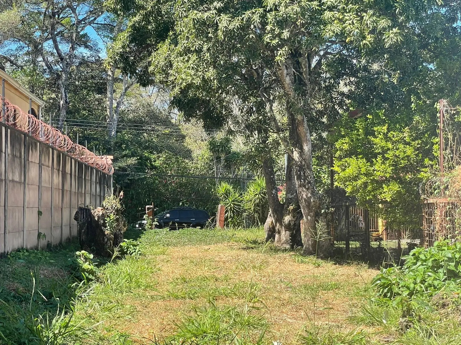 For Sale: large lot in Ciudad Colon  - image 11