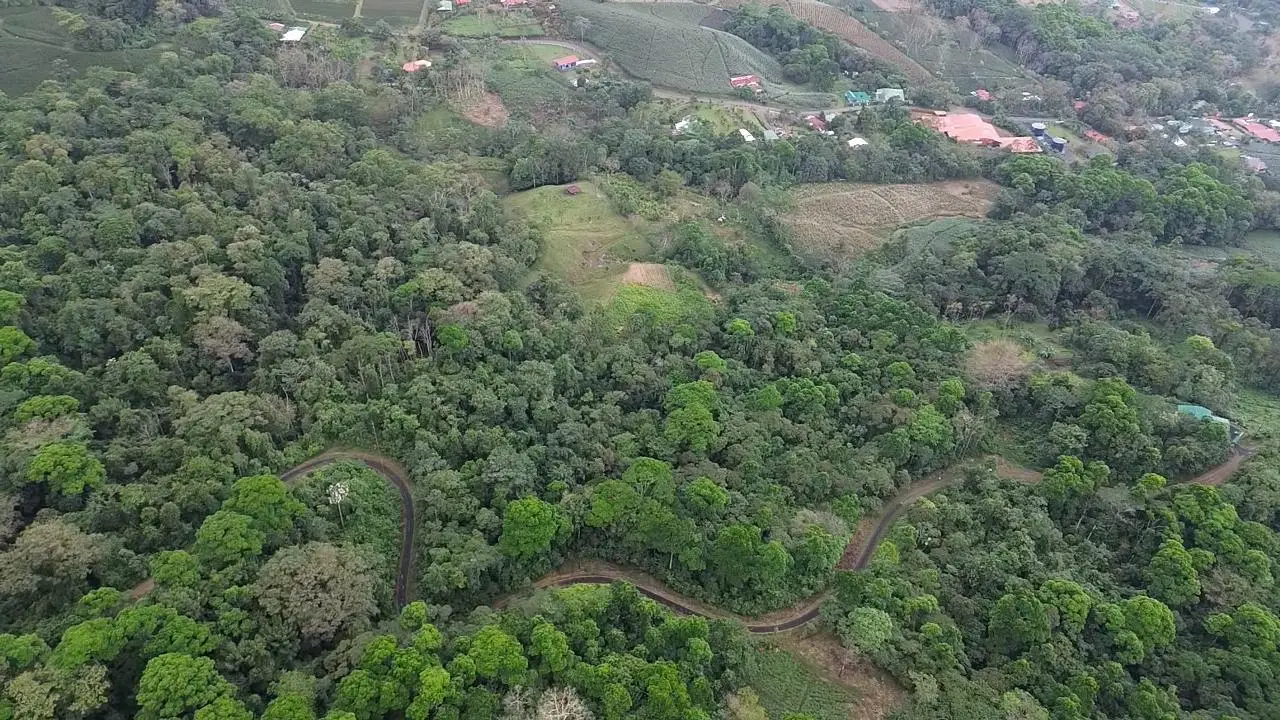 SALE / Dream Farm in the province of ALAJUELA - image 4