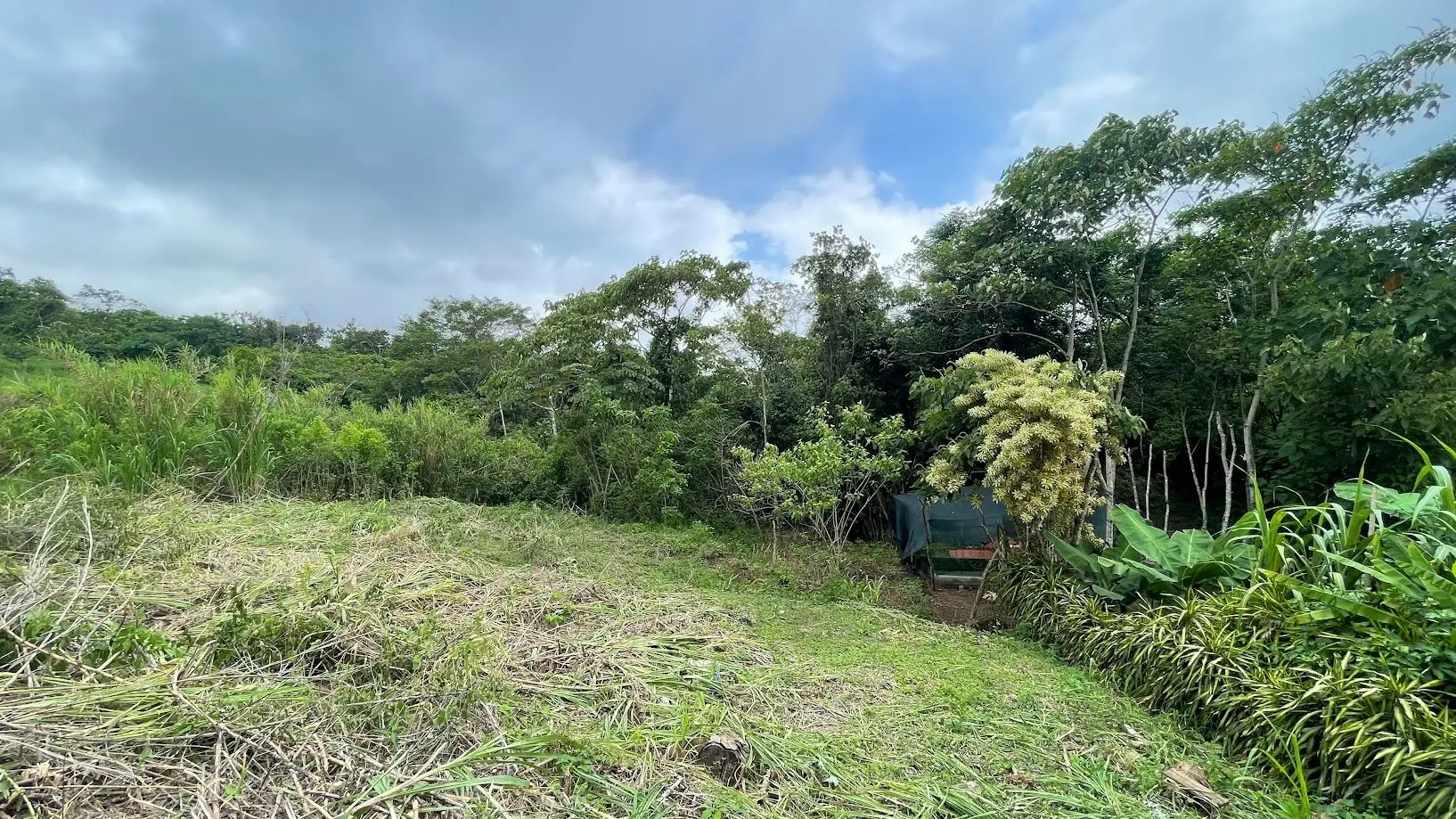 LOT FOR SALE IN SAN PEDRO, SAN RAMON - image 4