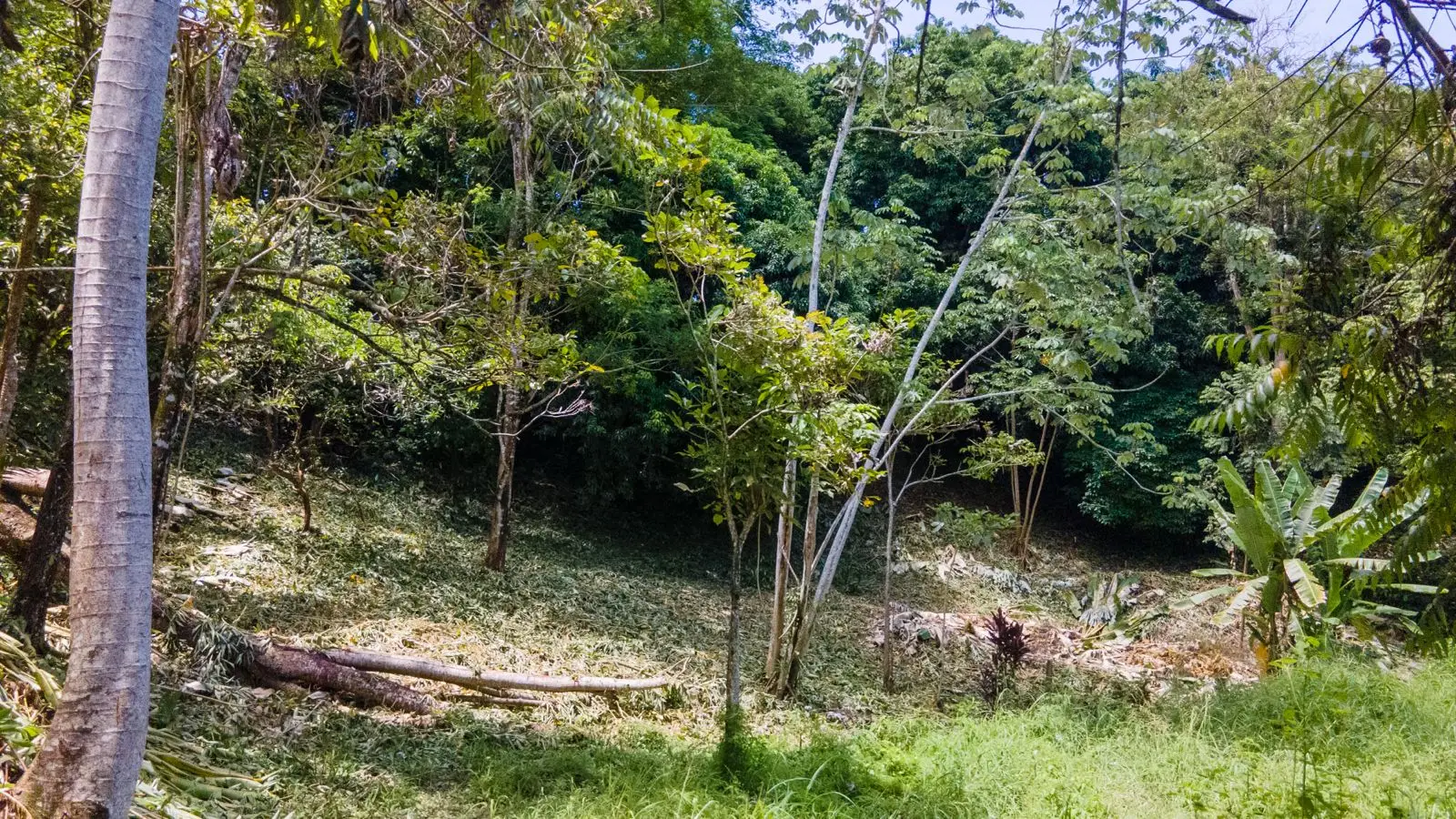 Beautiful lot of land in Playa Jaco - image 5