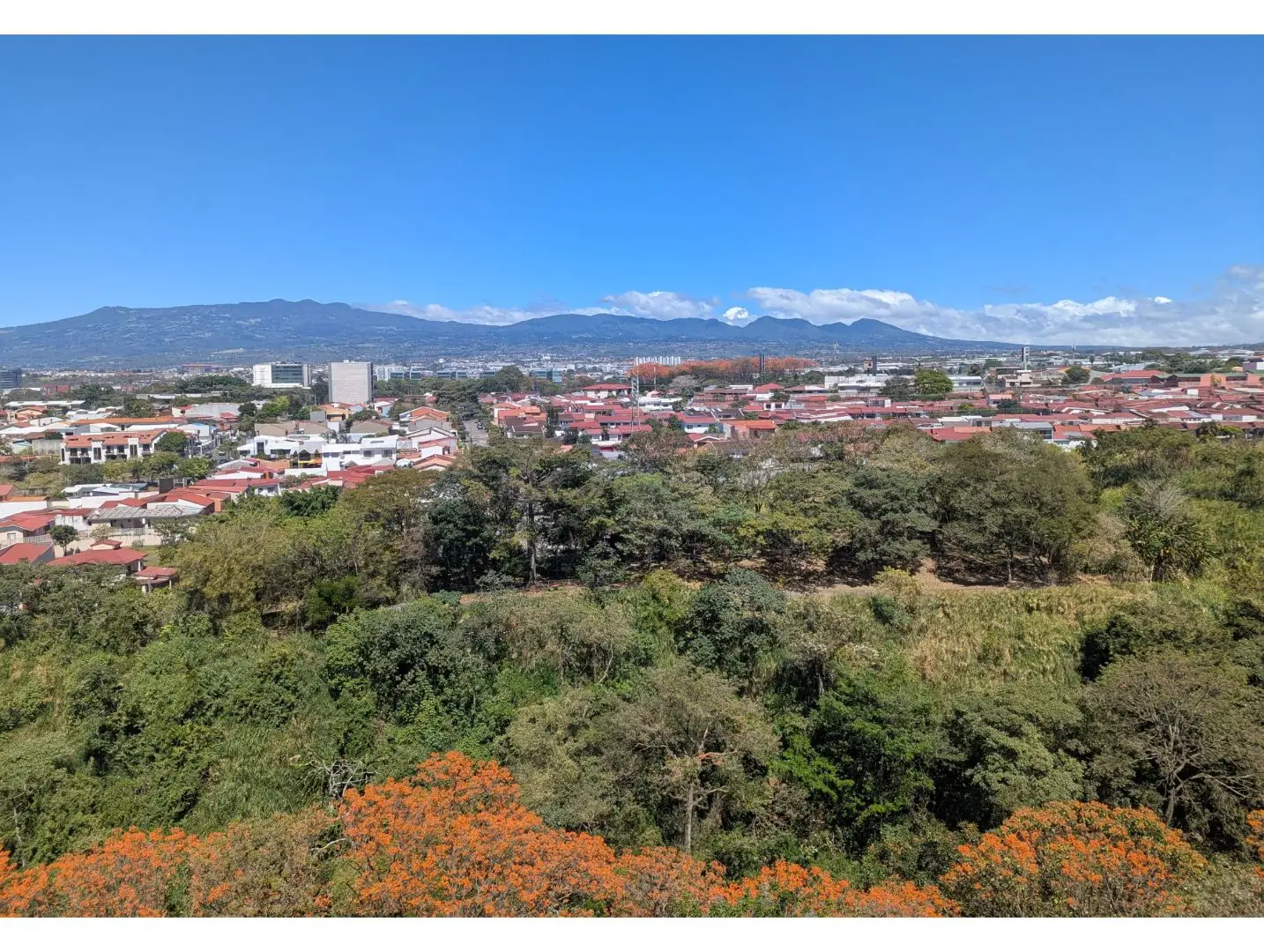 New Modern 1-Bedroom Apartment in San José | Luxury amenities.  - image 15
