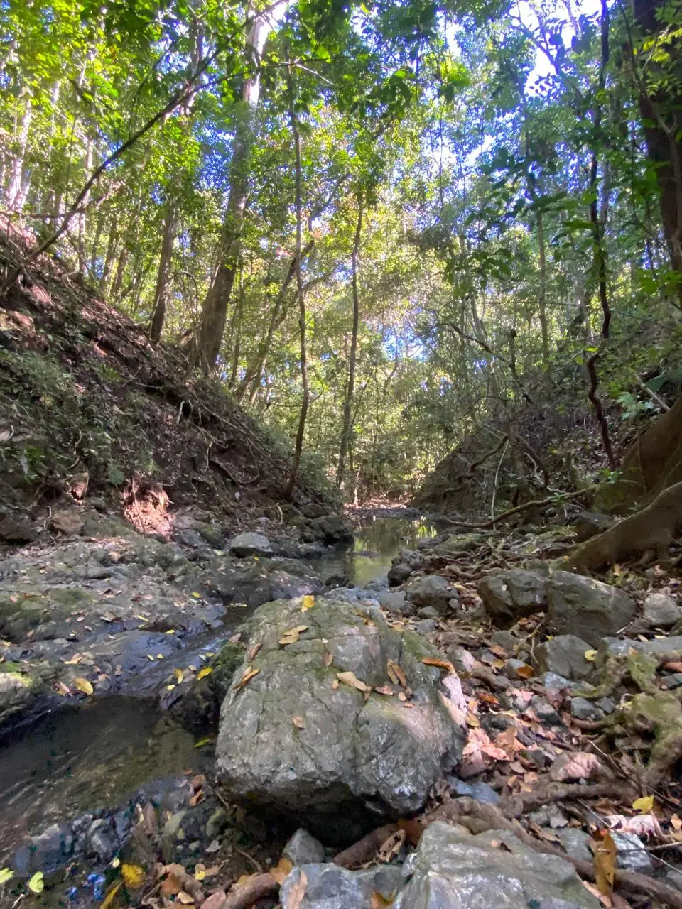 6,179 m² mixed-use land  in Delicias, minutes from  Montezuma and Santa Teresa - image 13