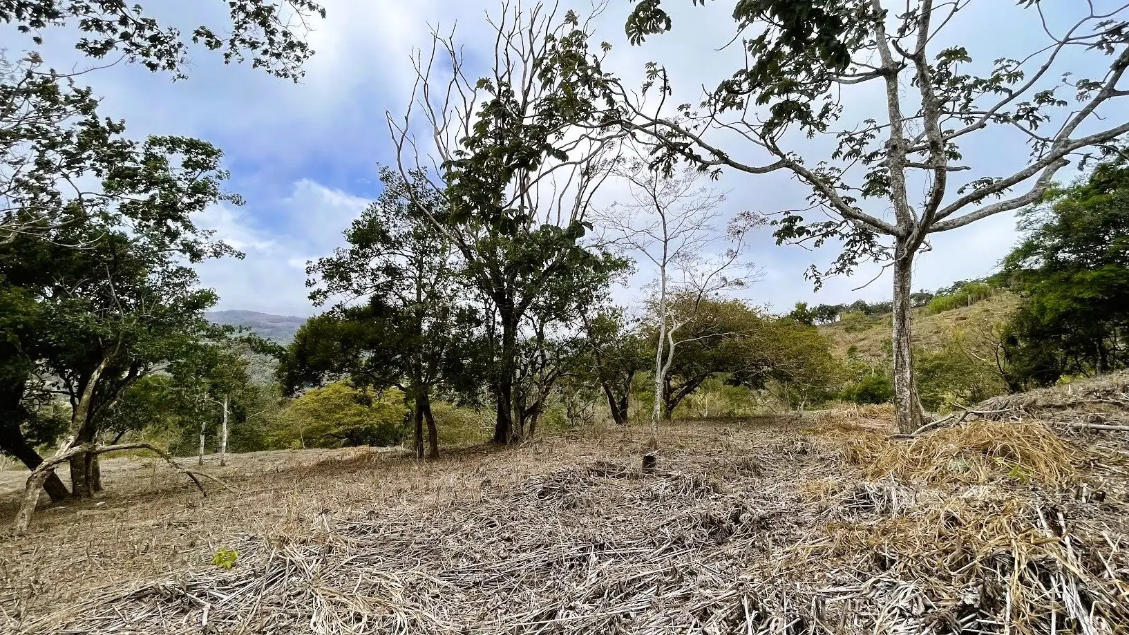 LOT FOR SALE IN SAN PEDRO, SAN RAMON - image 12