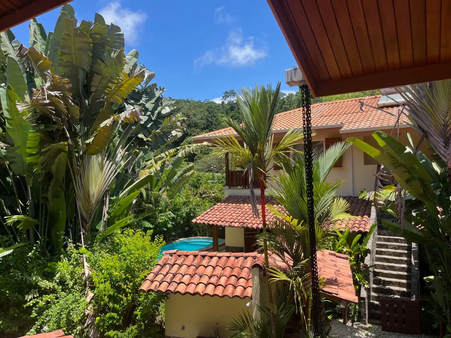 Santa Teresa Apartments and House with Pool, Income Property Steps from the Beach - image 7