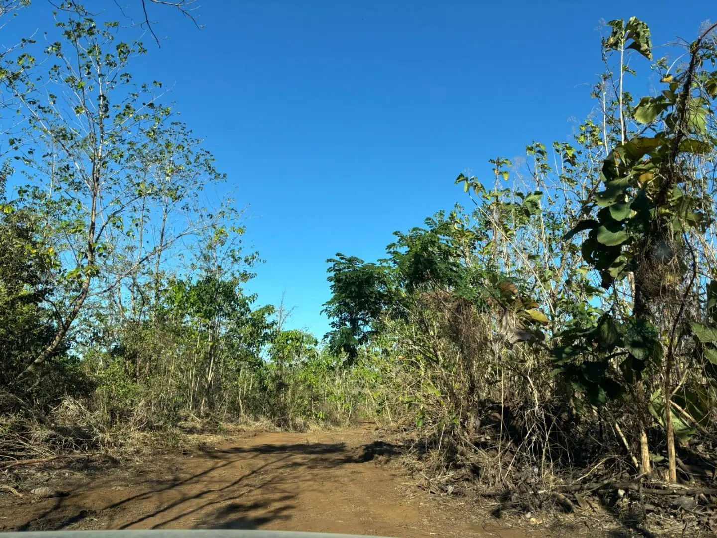 Expansive 7.3 Hectare Farm Land in Nicoya, Guanacaste – Prime Costa Rica Opportunity - image 3