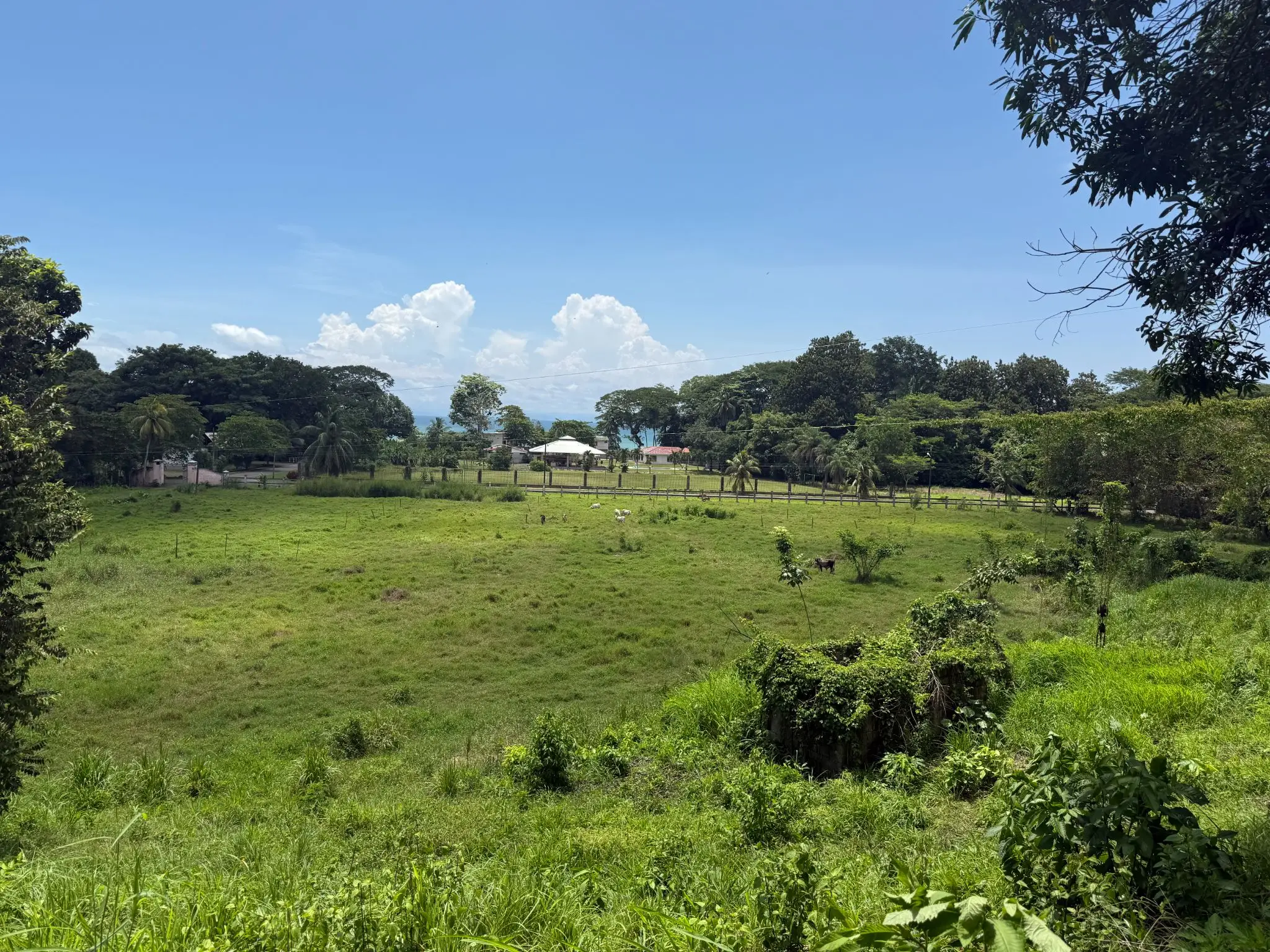 Playa Agujas Premier Ocean-View Development Parcel: 5.1 Hectares in Costa Rica's Garabito Coast - image 12