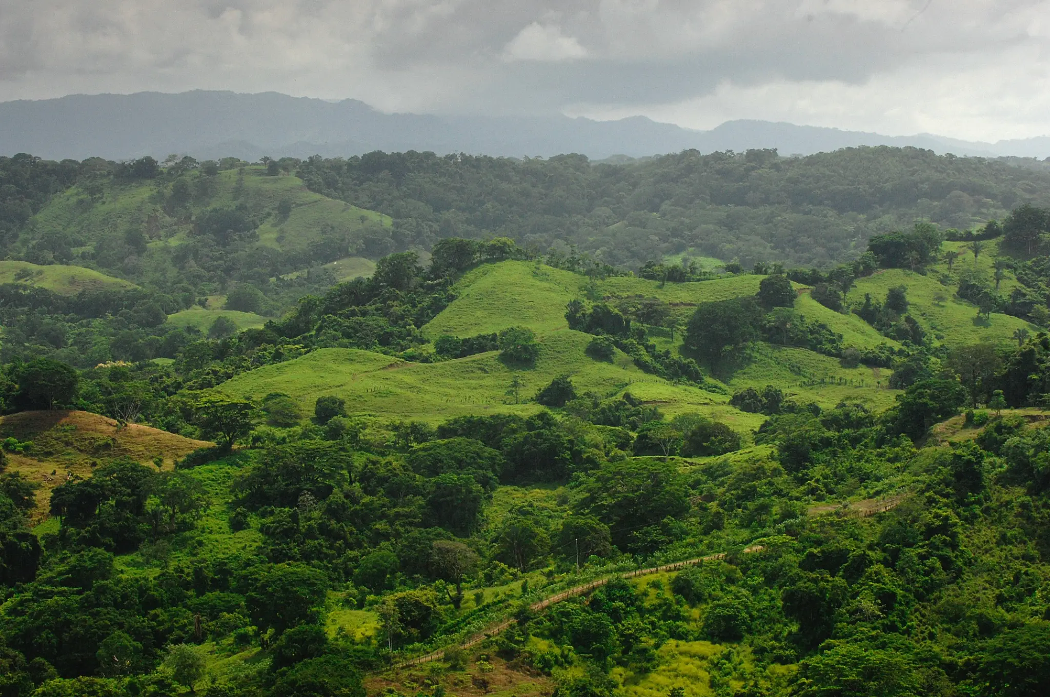 Nearly 90 Hectares of Untouched Jungle Beauty with Stunning Ocean Views, Steps from the Beach in Costa Rica’s Blue Zone. - image 2