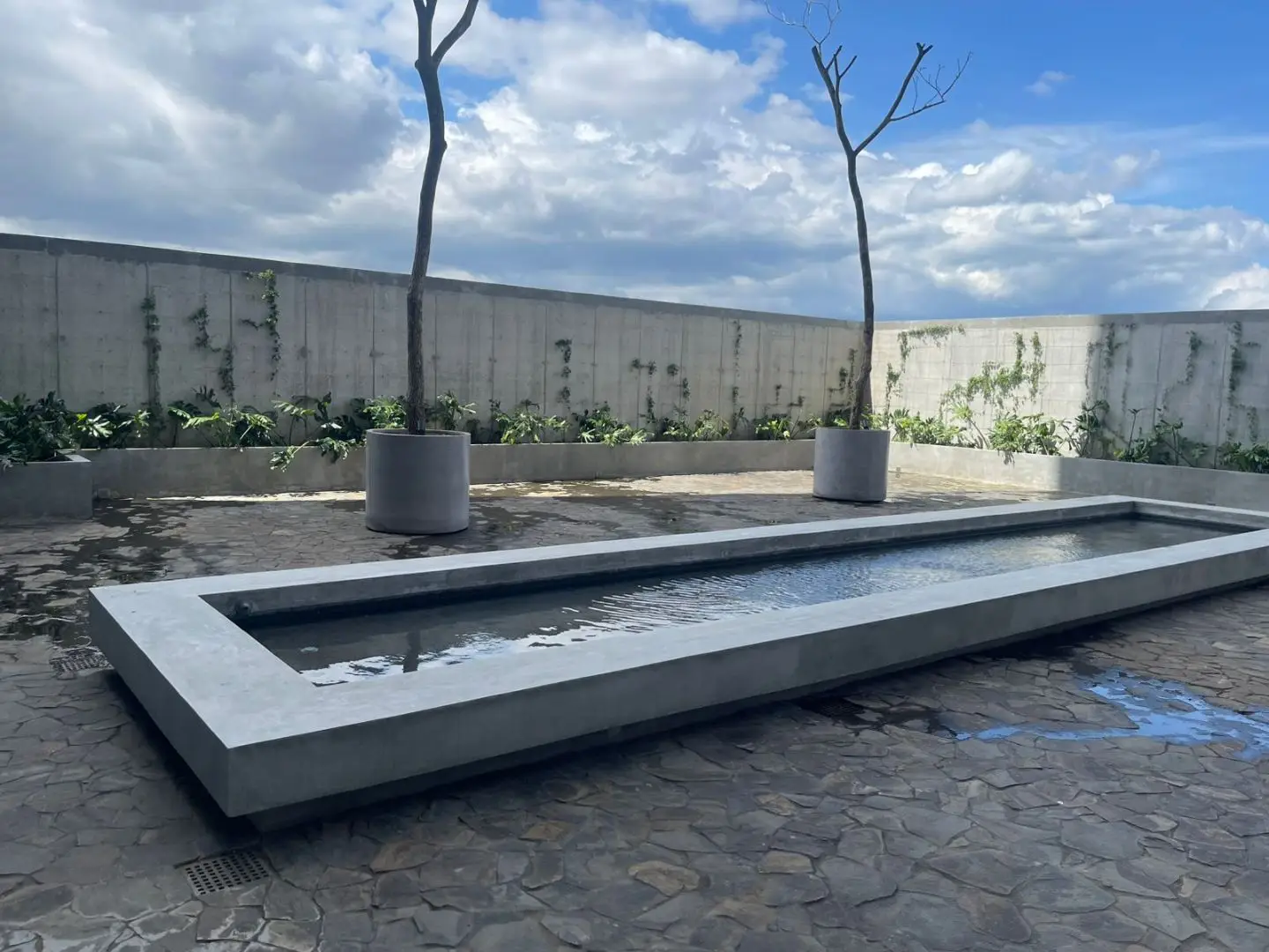 Sophisticated Apartment in Babylon, Nunciatura, San José - image 14