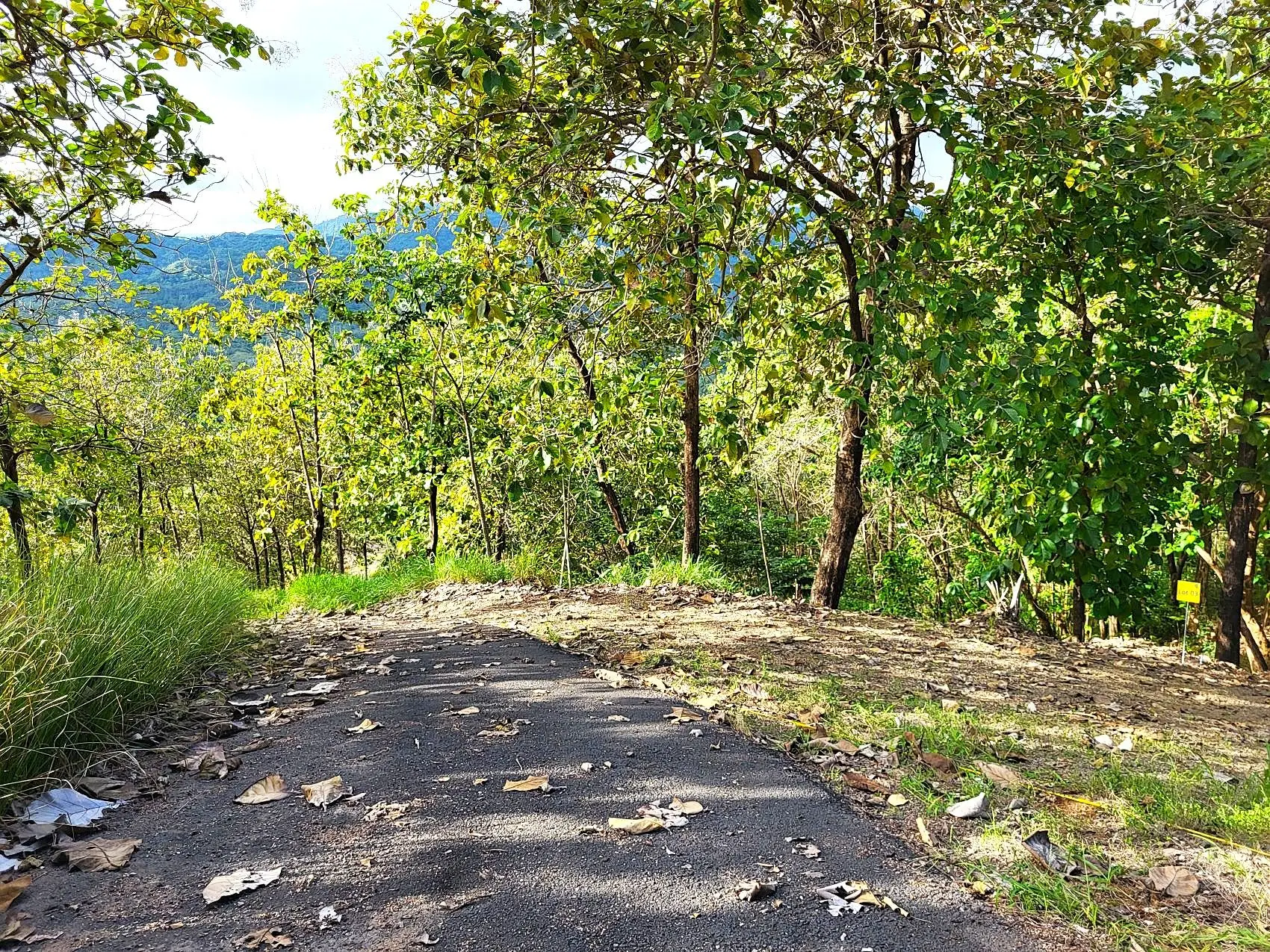 Mountaintop Ocean View Lot in Private, Gated Community Overlooking Tambor - image 14