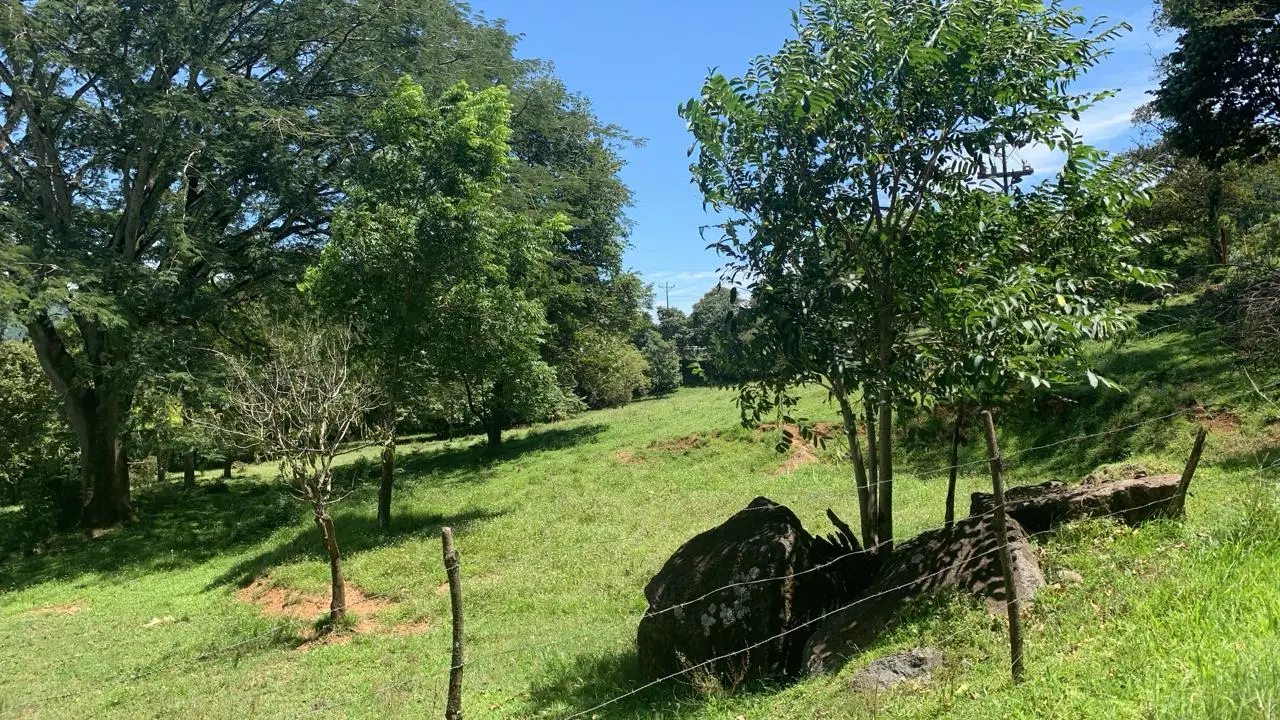 Expansive 2.77 Hectare Quinta in Scenic Turrúcares, Alajuela, Costa Rica - image 8