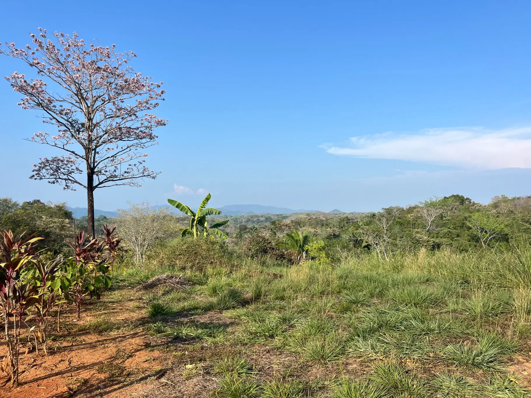 Lot with three building sites minutes to Hermosa in quiet neighborhood  - image 13