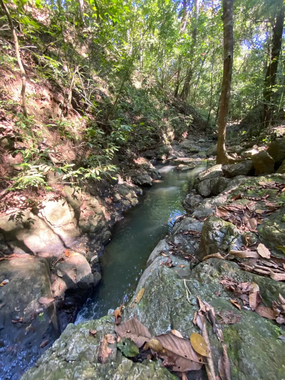 6,179 m² mixed-use land  in Delicias, minutes from  Montezuma and Santa Teresa - image 3