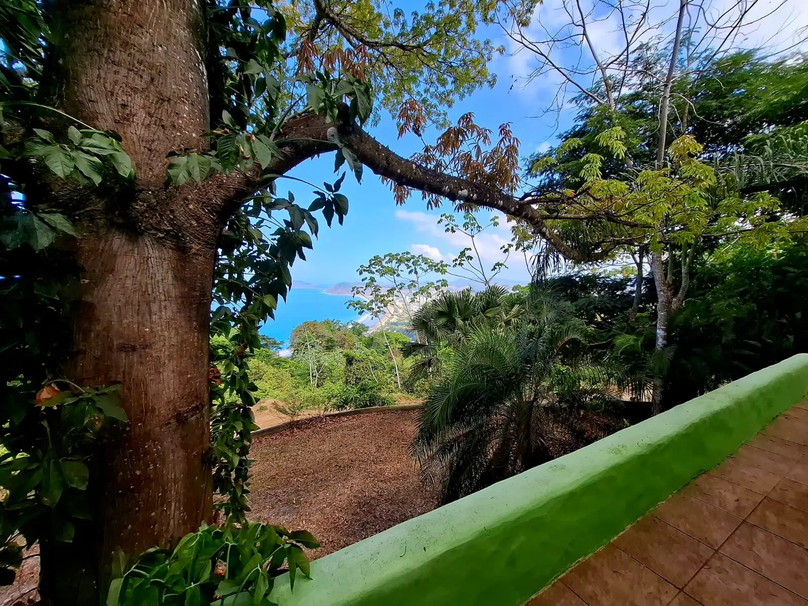 Peaceful Studio in Cerro Fresco, Jacó - image 5