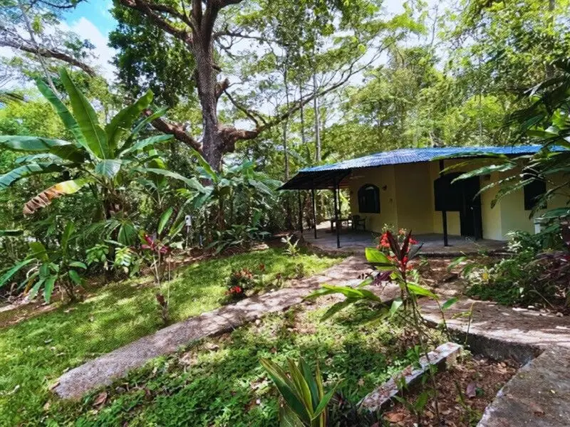 Private Sanctuary Between Jacó & Herradura: Peace & Nature, 10 Min from Everything - image 7