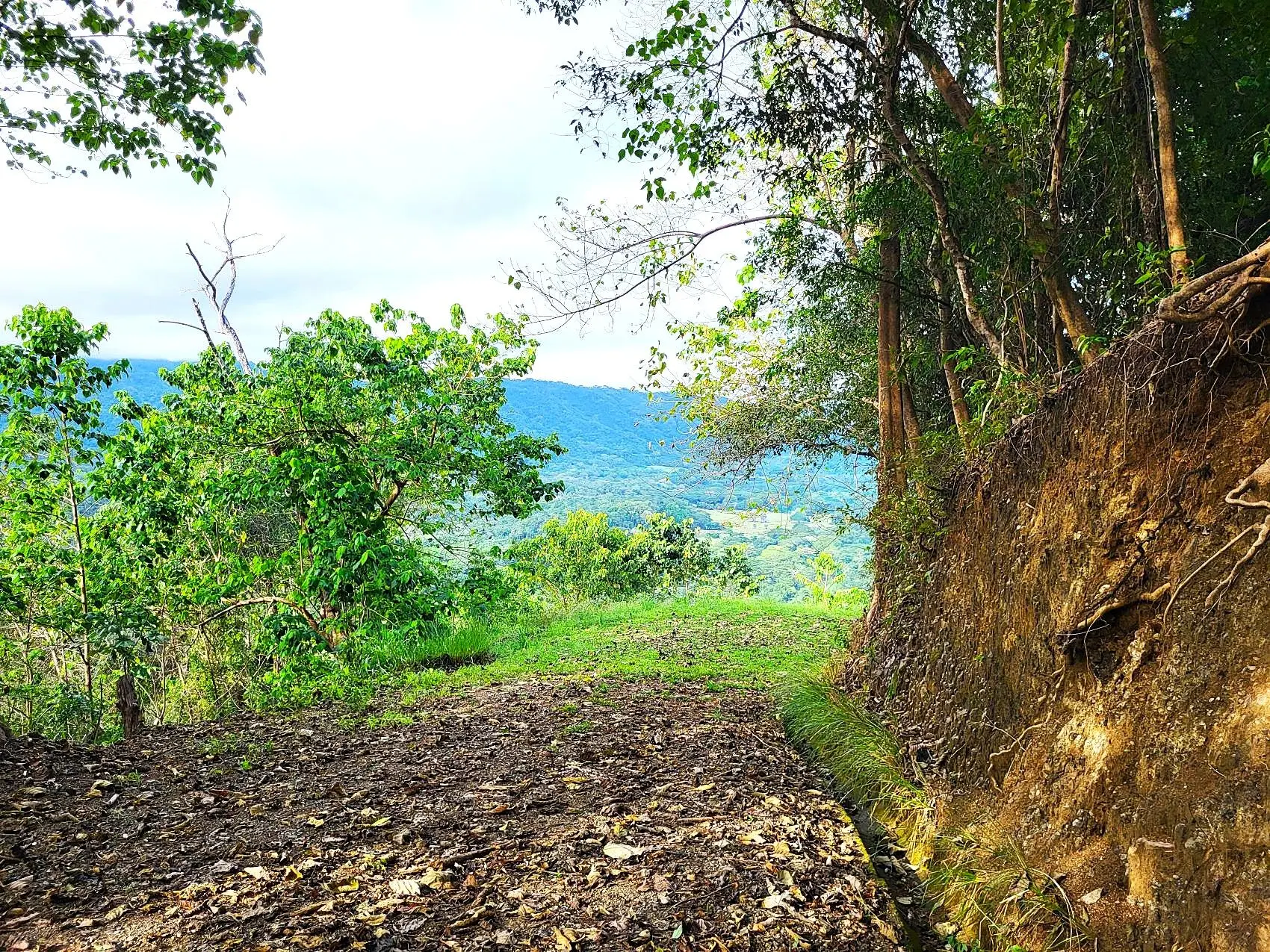 Mountaintop Ocean View Lot in Private, Gated Community Overlooking Tambor - image 12