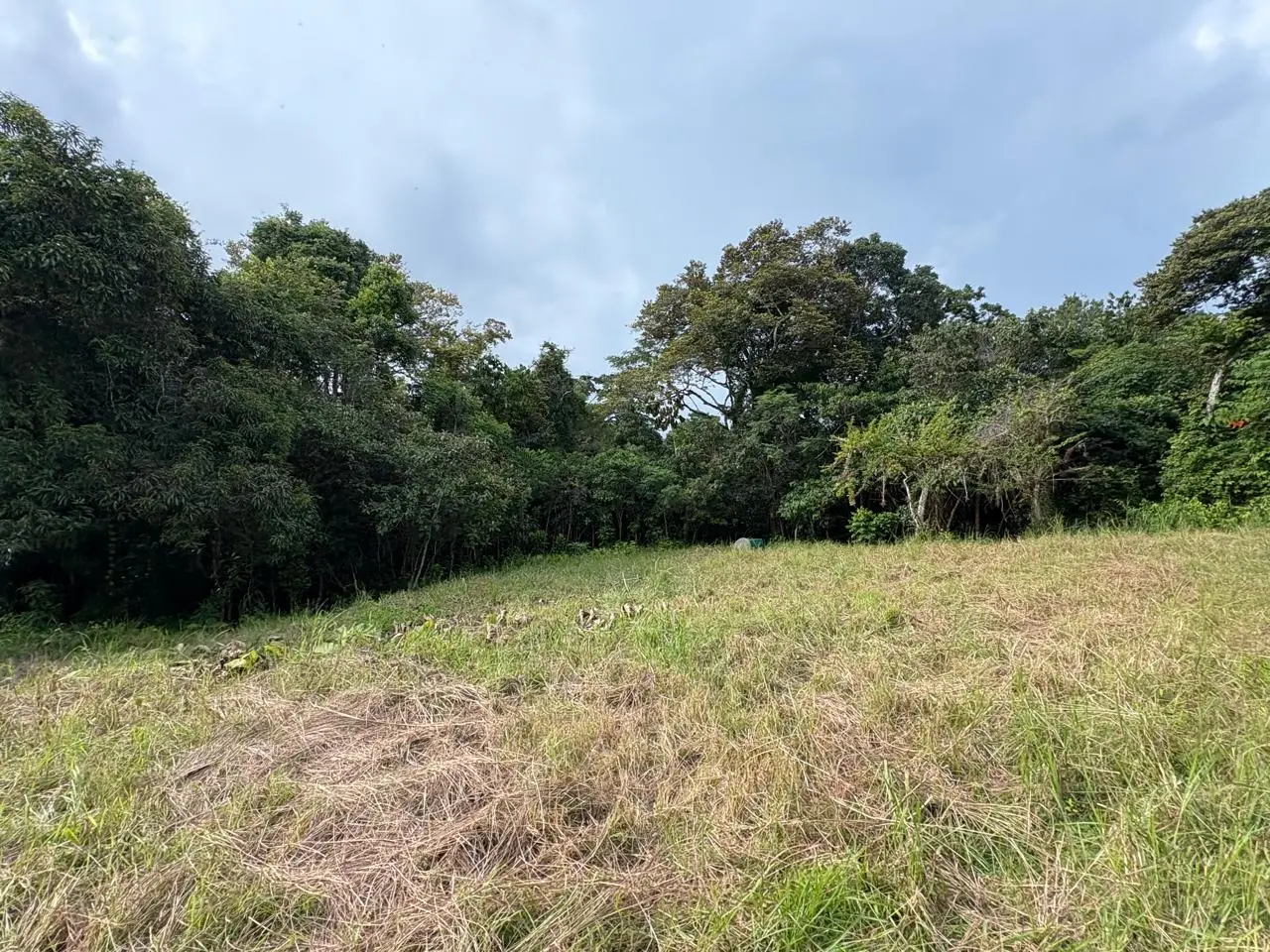 6,179 m² mixed-use land  in Delicias, minutes from  Montezuma and Santa Teresa - image 11