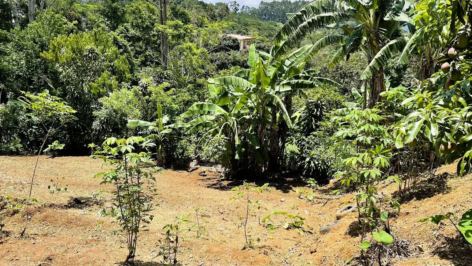 LOT FOR SALE IN ZARAGOZA, PALMARES  - image 10