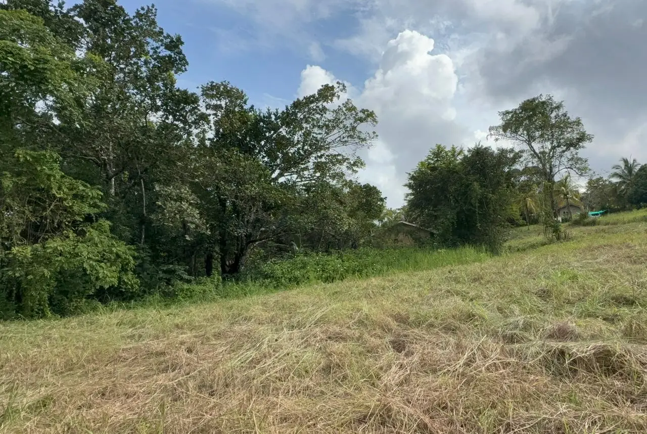 6,179 m² mixed-use land  in Delicias, minutes from  Montezuma and Santa Teresa - image 9