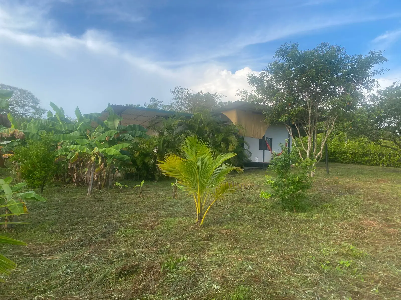 Two New Homes Near Santa Teresa - Income Property in Delicias  - image 14