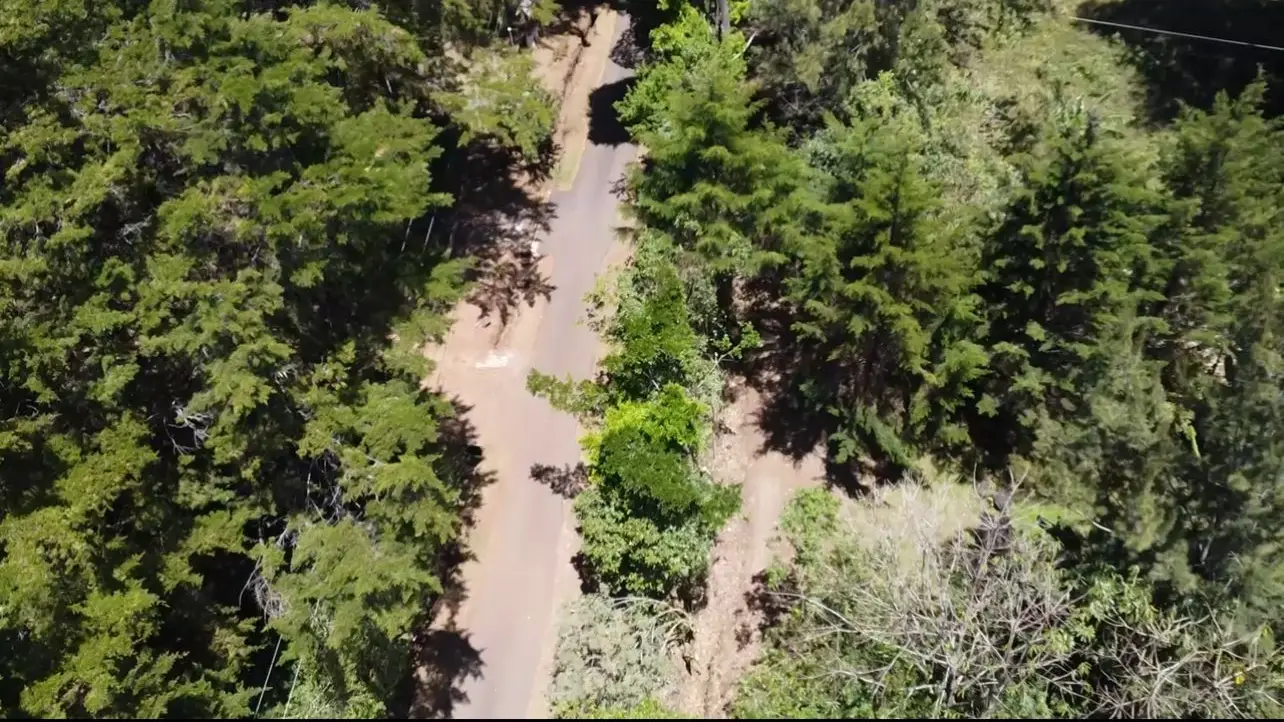 A Hidden Gem in the Heart of Nature | Land in San Rafael de Heredia - image 7