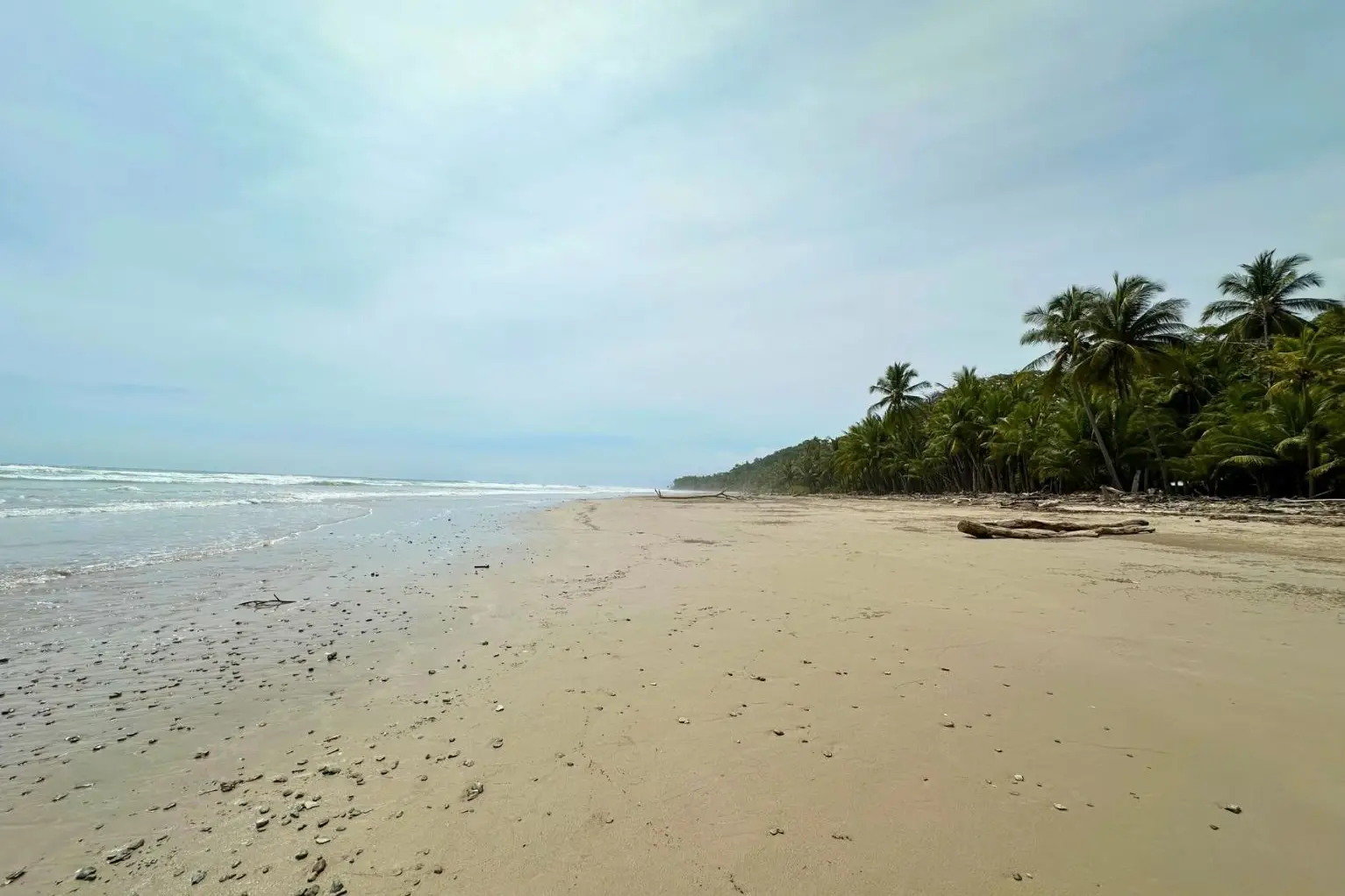 Exclusive Beach property in Playa Hermosa, Costa Rica – ready for a luxury villa or boutique hotel, with direct beach access and permits in place. - image 6
