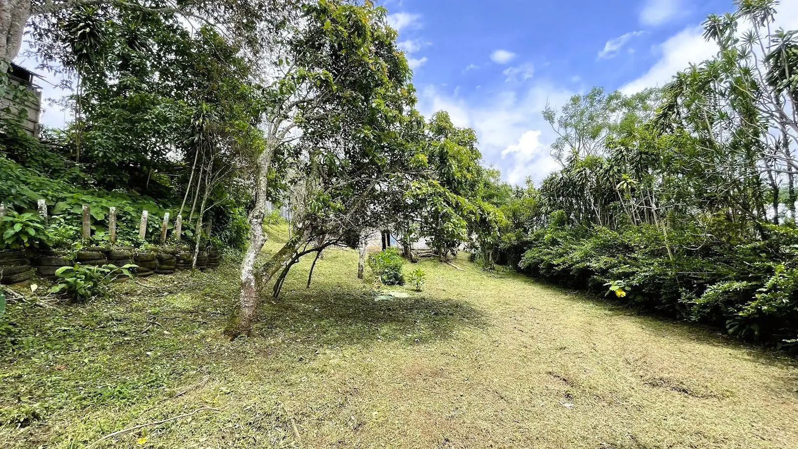 HOUSE & LARGE LOT FOR SALE IN SAN ISIDRO, SAN RAMON - image 11