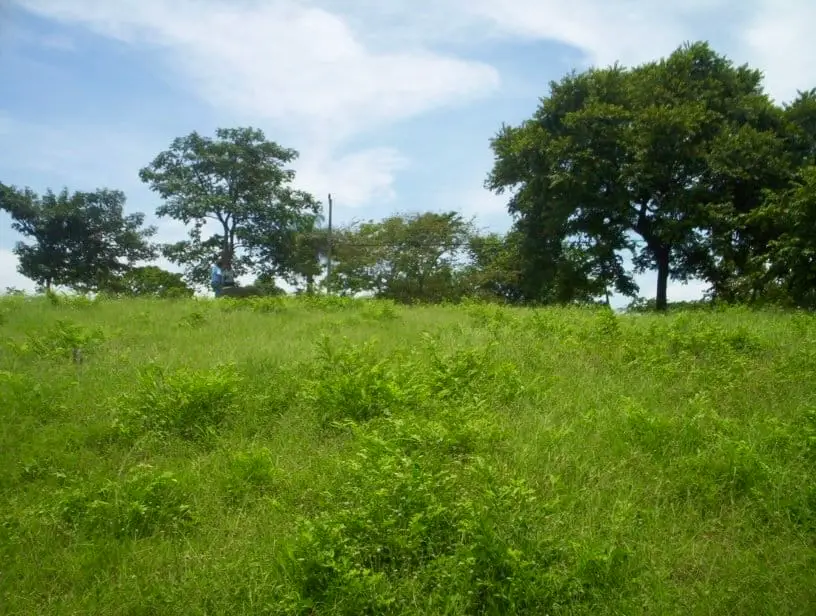 2,027 m² Ocean-View Lot in Guacalillo - image 7