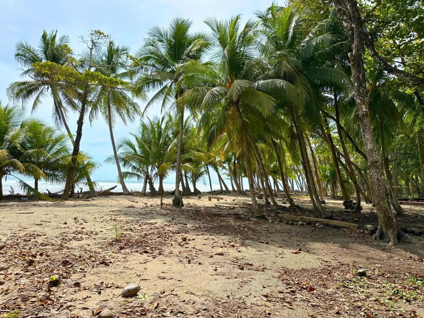 Exclusive Beach property in Playa Hermosa, Costa Rica – ready for a luxury villa or boutique hotel, with direct beach access and permits in place. - image 5