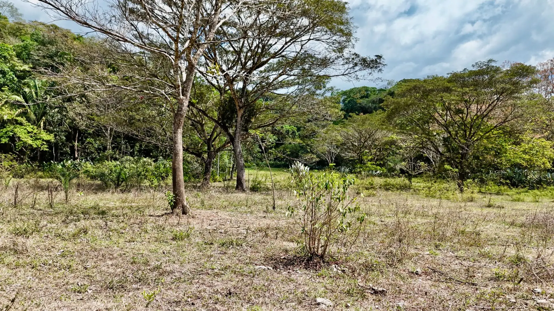 Central Pacific Oceanfront Resort Development Site | 111.9 Acres - image 5