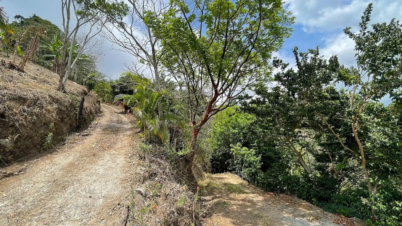 LAND FOR SALE IN ATENAS, ALAJUELA  - image 15