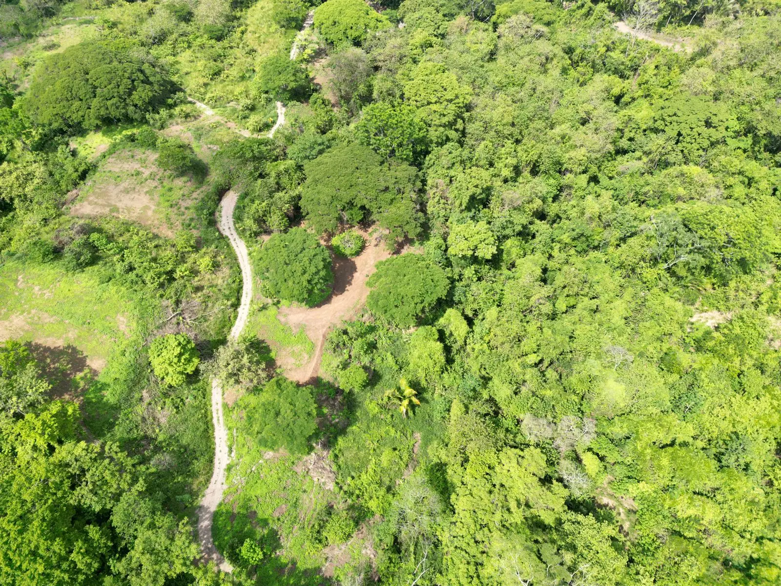 Enchanting 9,800 m² Land Surrounded by Jungle and Nature. A Peaceful Retreat Near Santa Teresa, Mal País, and Cabuya - image 3