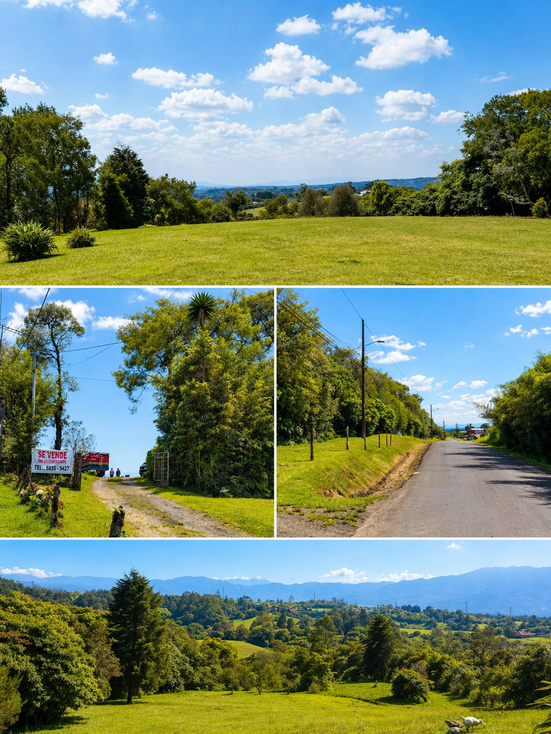 SALE / Coronado Mountain Sanctuary - image 4