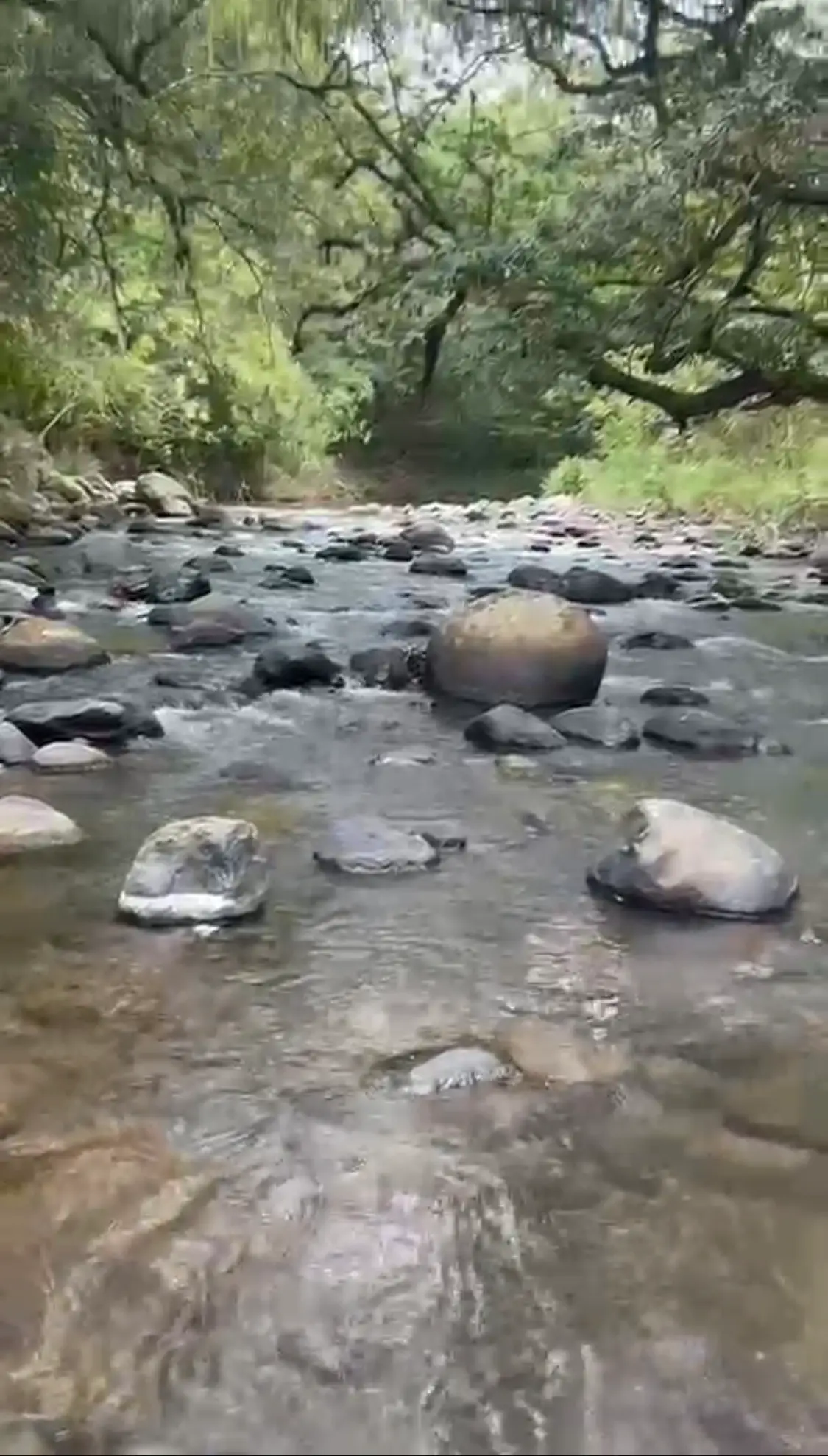 Beautiful property in San Ramón featuring 5 natural pools - image 3