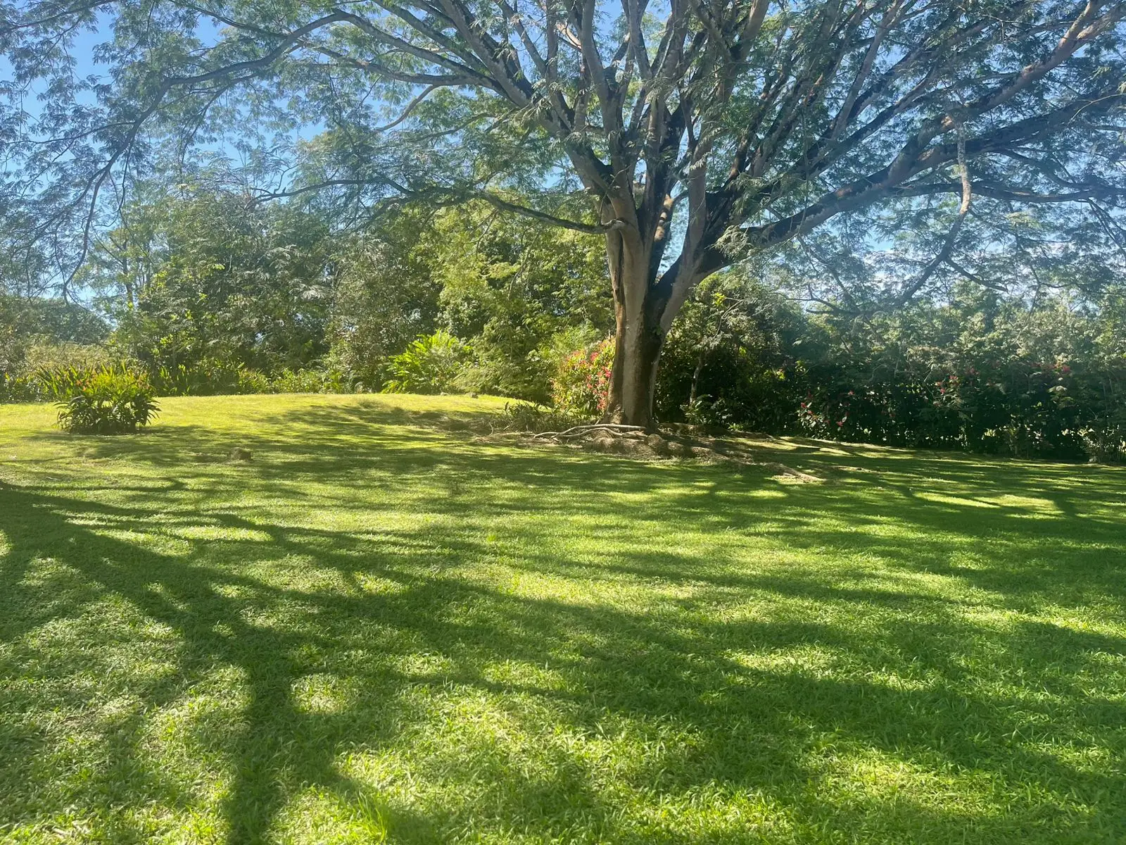 A hidden paradise in Orotina: 4,919 m² to create the life you dream of - image 5