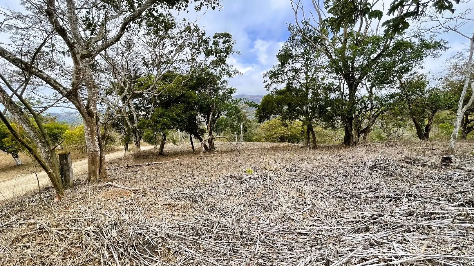 LOT FOR SALE IN SAN PEDRO, SAN RAMON - image 11