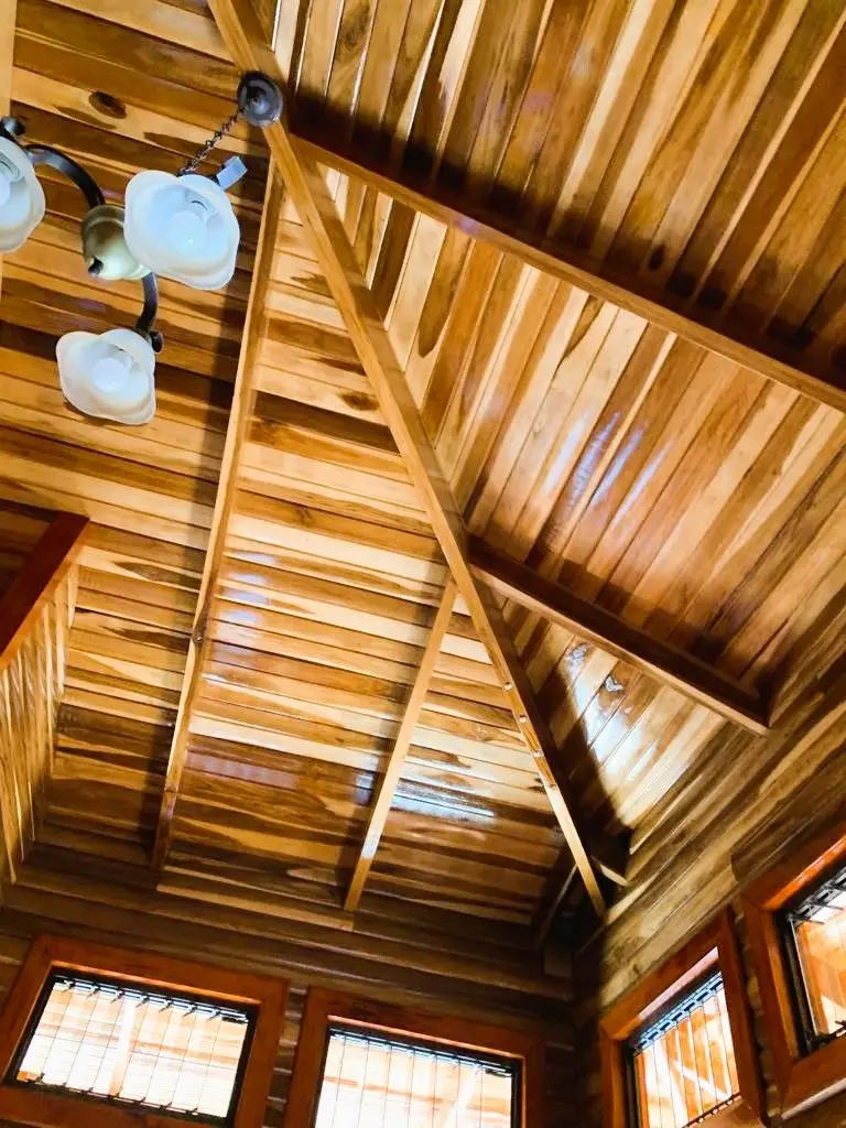 LOT FOR SALE WITH TWO HOUSES IN ATENAS, ALAJUELA - image 8