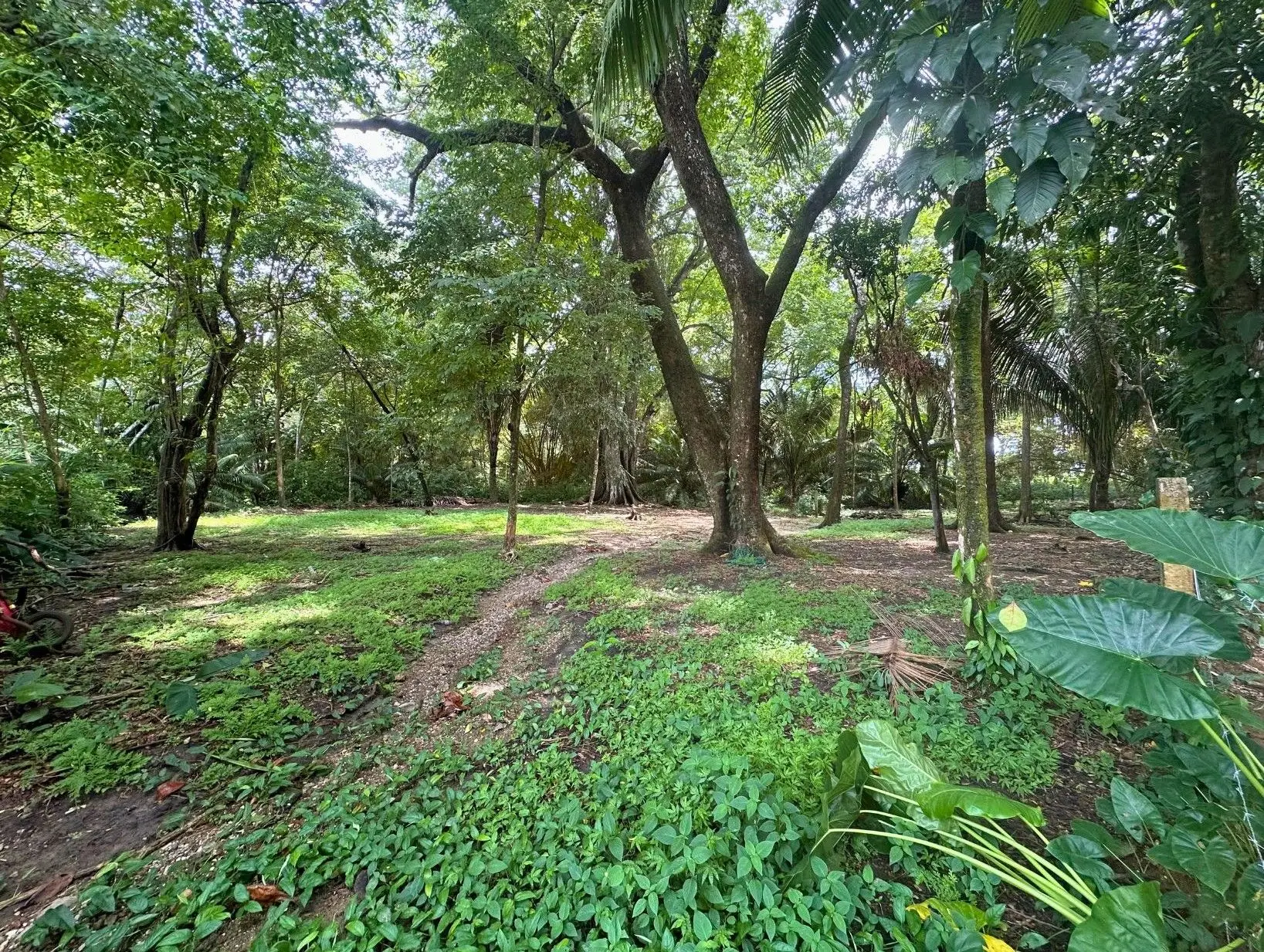 Exclusive Beach property in Playa Hermosa, Costa Rica – ready for a luxury villa or boutique hotel, with direct beach access and permits in place. - image 9