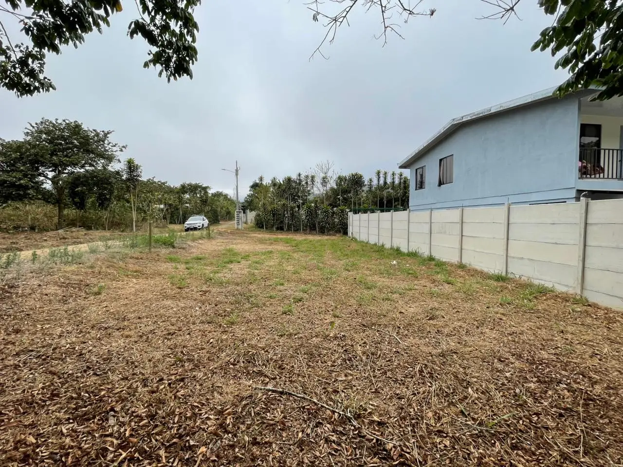 Prime 300sqm Residential Lot in Zaragoza, Palmares, Alajuela - Build Your Dream Home! - image 6