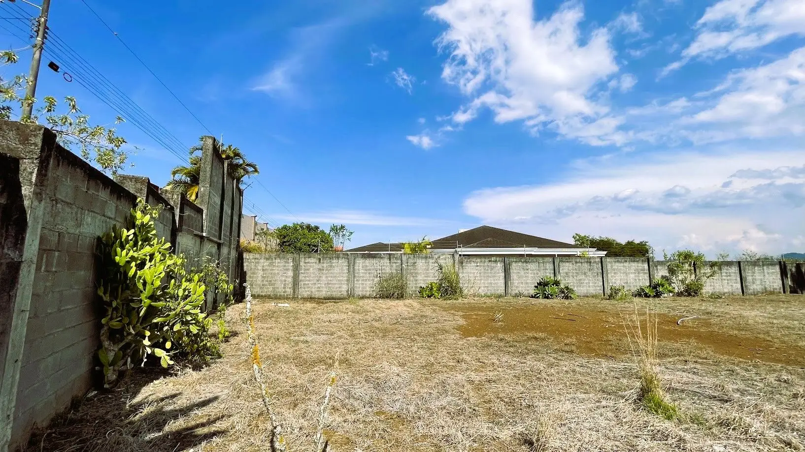 LOT FOR SALE IN SAN PEDRO, SAN RAMON - image 5