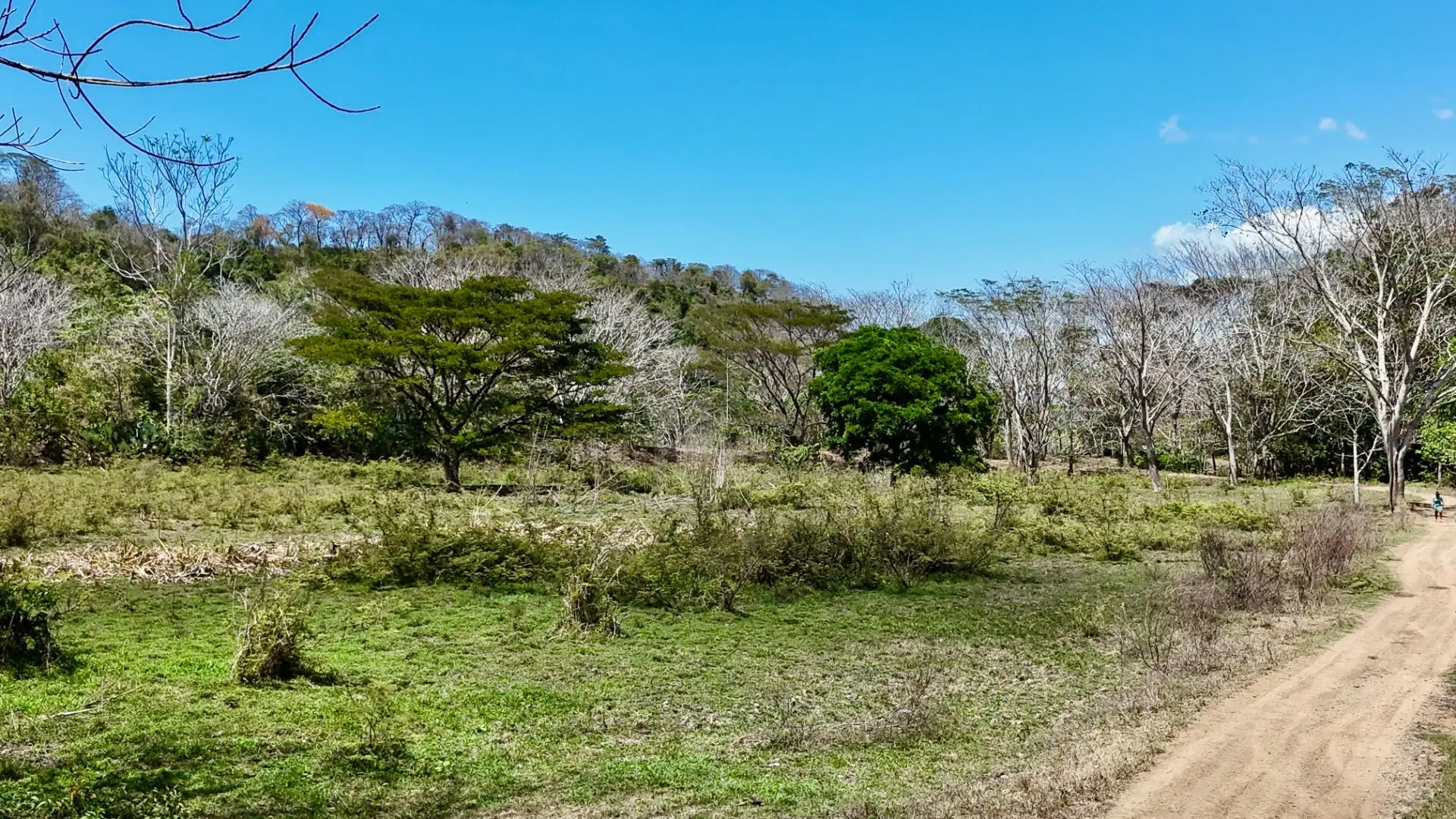 Central Pacific Oceanfront Resort Development Site | 111.9 Acres - image 9