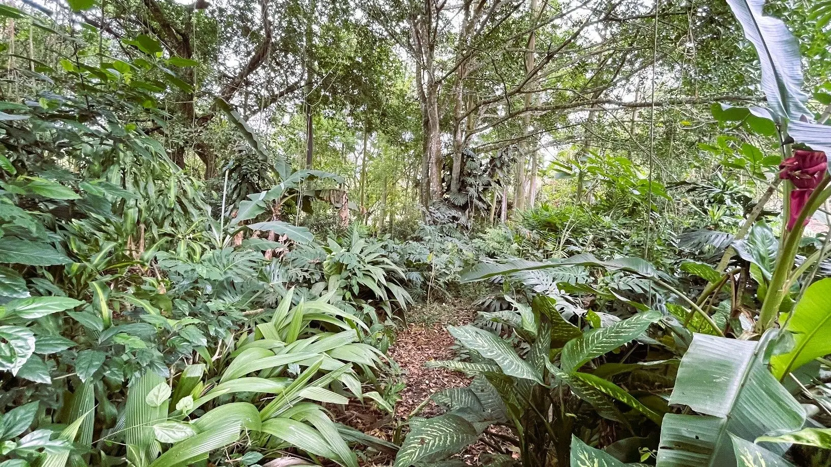 LOT WITH HOUSE FOR SALE IN ZARAGOZA, PALMARES - image 15