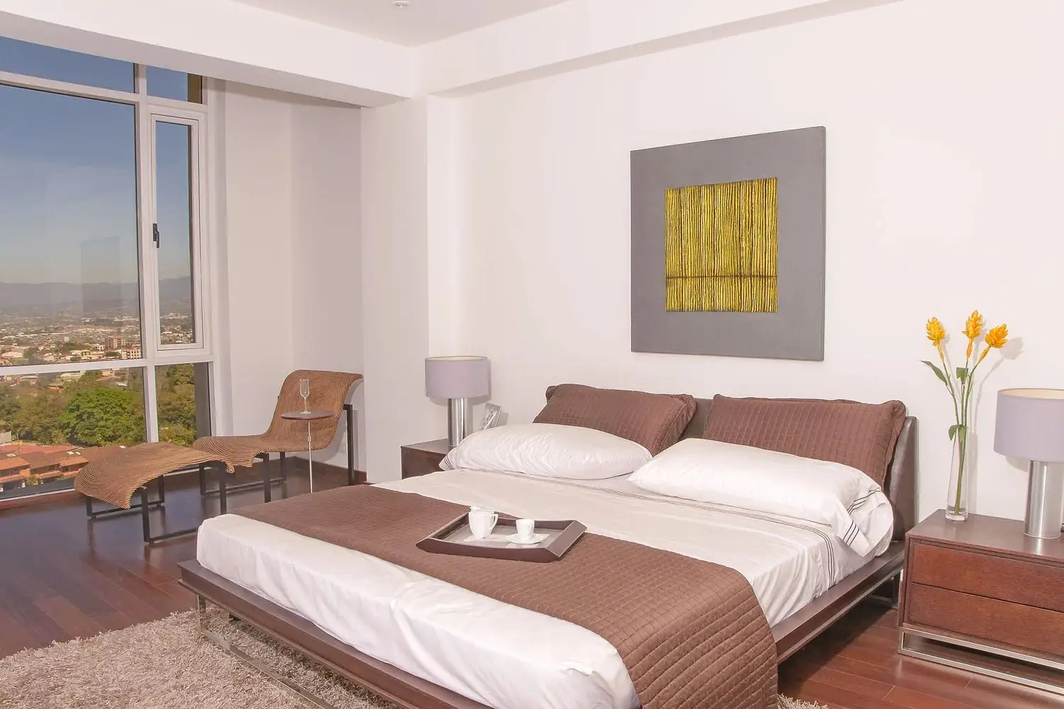 Elegant Apartment in Alta Pietra, Escazú - image 15