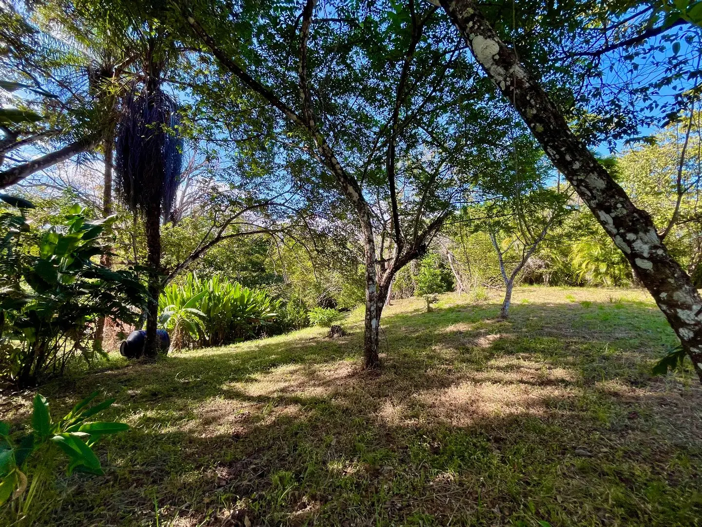 4000m2 Lot with parcial ocean views  in Delicias close to Montezuma and 20 min from Santa Teresa Ready to Build - image 11