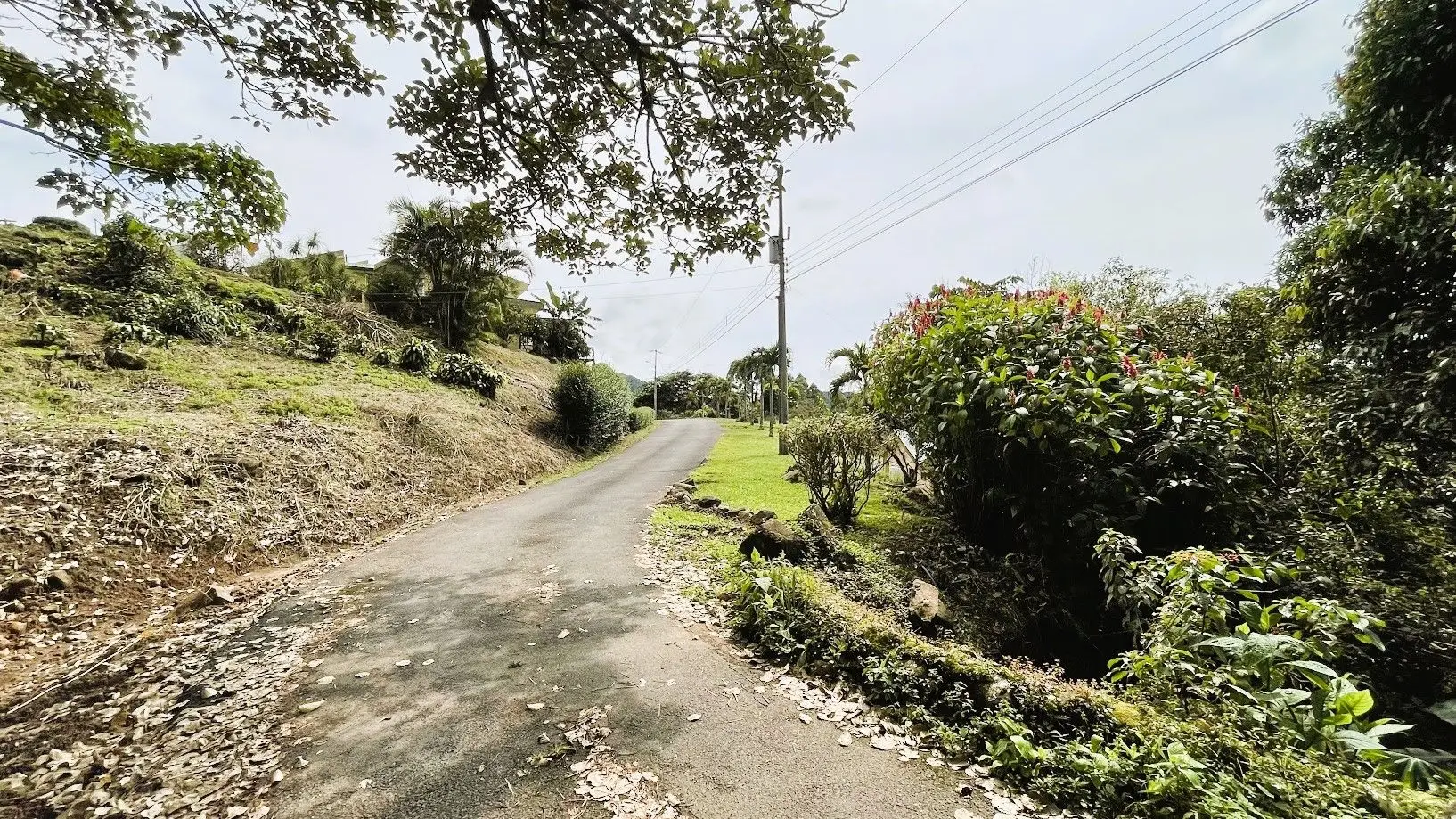 OCEAN VIEW LOT FOR SALE IN SANTIAGO, SAN RAMON - image 7